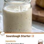 🍞 Homemade Sourdough Starter