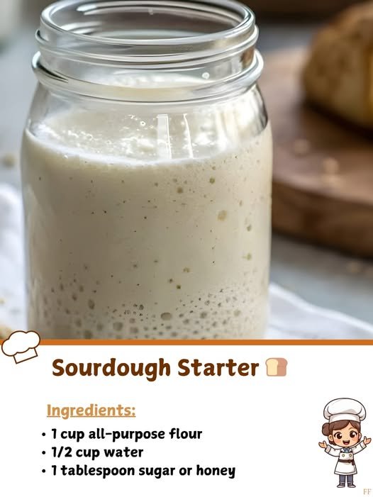 🍞 Homemade Sourdough Starter