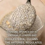 Creamy Chia Seed Pudding