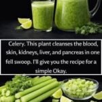 🥬 Fresh Celery Smoothie Recipe – Refreshing, Simple & Delicious