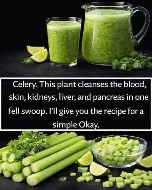 π₯¬ Fresh Celery Smoothie Recipe β Refreshing, Simple & Delicious