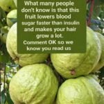 Fresh Guava Health Drink Recipe