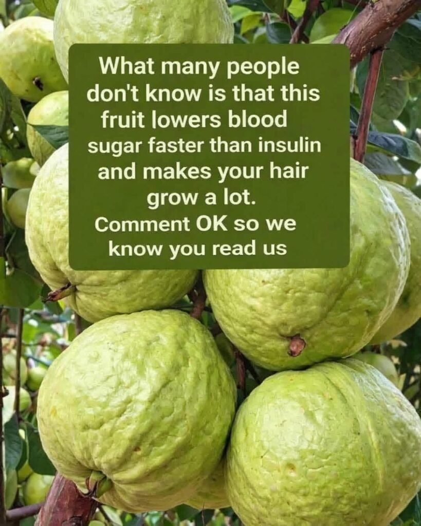 Fresh Guava Health Drink Recipe