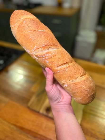 🥖 Sourdough Baguettes / Hoagie Rolls