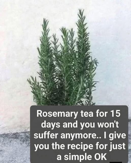 Rosemary Tea Recipe: A Simple Homemade Herbal Drink