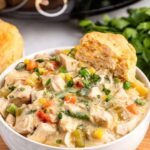 Crock Pot Chicken Pot Pie Soup