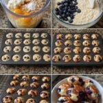 High protein Blueberry Greek Yogurt Bites