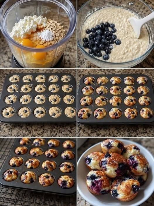 High protein Blueberry Greek Yogurt Bites